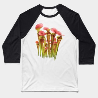 Gardening Sarracenia Pitcher plant Carnivorous plant Baseball T-Shirt